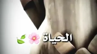 اغنيه تركيا حزينه مع فيديو حزين جدا  لا استطيع شرح همي لاحد    ستوريات انستاا  حالات حب اشتركو   دندنها