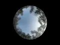 Jon Hopkins   Circle