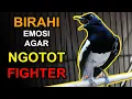 4 Cara Meningkatkan BIRAHI dan EMOSI KACER Agar NGOTOT dan Lebih FIGHTER
