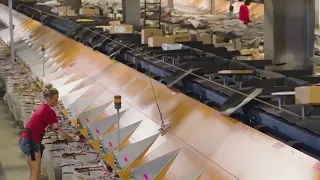UPS report highlights importance of career growth