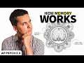 Introduction To Memory AP Psychology Review Unit 2 Topic 3
