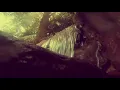 STIMMING the song