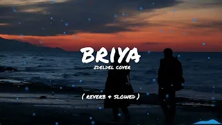 Zdeldel Briya Reverb Slowed 