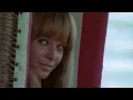 Venus In Furs | The Velvet Underground & Nico | 4K Music Video