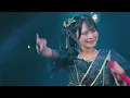 ヒラリラリア/iLiFE!💛福丸うさ生誕祭2026