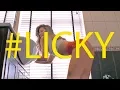 Download Lagu Claydee feat. Jenn Morel - Licky (Twerk Video by Nastya Nass)