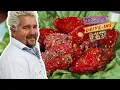 SCREAMING Red Spicy Garlic Wings Diners Drive-ins and Dives with Guy Fieri Food Network