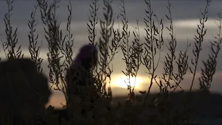 يا خشيف الريم 