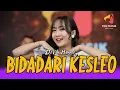 Download Lagu DIVA HANI - BIDADARI KESLEO| Untumu ono kawate ono lomboke ono kangkunge| Official Live Music Video