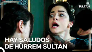 Intento de Ataque Con Cuchillo Contra Nurbanu Sultan | El Sultán