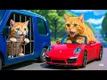 Download Lagu Live 🔴 Mama Cat Saves Abandoned Kitten Head Home Cooks Delicious Meals Heartwarming Story 🐾❤️🐱