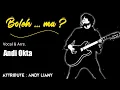Download Lagu BOLEH MA // R.Andi Okta // Lagu milik andy Liany