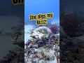Download Lagu This is one of my first viral videos on TikTok see what you think!?