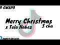 DJ MERRY CHRISTMAS X TELA HABES