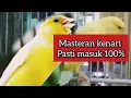 Download Lagu ( Download MP3 ) Masteran Suara Burung Kenari