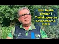 Download Lagu Den falska skylten i Trollskogen del 8