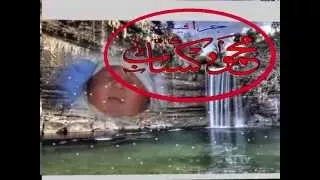 أولاد الأصول أولاد كساب يوسف عباده 