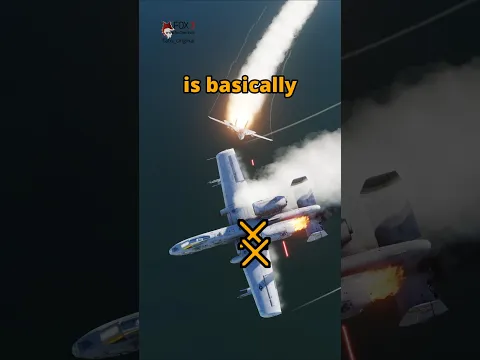 A-10 v F-14 Tomcat Dogfight #DCS
