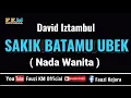 Download Lagu David Iztambul - SAKIK BATAMU UBEK ( Karaoke ) NADA WANITA MP3