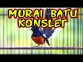 Lagu MURAI BATU KONSLET DI GANTANGAN
