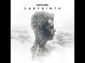 Labyrinth