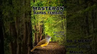 masteran kapas tembak jernih jeda 2 menit dijamin 100 masuk sudah terbukti