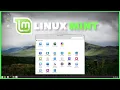 Complete Linux Mint Tutorial The System Settings