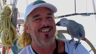 SSL 48 ~ Captain’s Update ~ NEWS!!