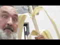 Making Corn Stalks