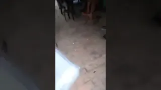 police vs army man angry indian army vs indian police 5000 chalan faltu up 36vs44 vlogs