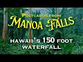 Lagu I hiked to a BEAUTIFUL WATERFALL in Hawaii (Manoa Falls TRAVEL GUIDE)