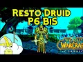 WoW Classic - Phase 6 Restoration druid BiS gear Guide