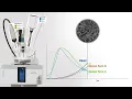 Raman Spectroscopy Polymorph Analysis and Monitoring Polymorphic Transitions