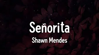 Download Shawn Mendes - Señorita | Playlist | Sia - Unstoppable, Titanium (feat. Sia), happier MP3