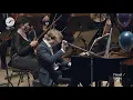 Camille Saint-Saëns "The Carnival of the Animals" - Finale. Conductor Xandi van Dijk, ERSO
