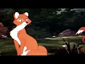 Download Lagu Tod \u0026 Vixey | The Fox And The Hound (Rox et Rouky) edit