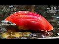 Download Lagu Kuromaguro Nigiri - Tabekurabe