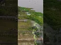 Lake Corpus Christi water level is at 68 34 full capacity as of today Tuesday Aug 2026