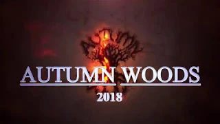 Download Autumn Woods (Live at Rock Fort 2018) MP3