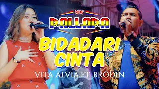 vita alvia ft brodin bidadari cinta new pallapa live perum pinang mas tegalsari kota tegal