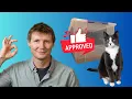 The Ultimate DIY Litter Box Cat-Approved Customizable and Affordable
