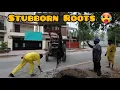 Drain Complaint 215 Part 4 Pull out the roots with a tractor bucket
