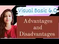Visual basic 6 0 Advantages and Disadvantages
