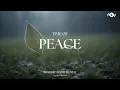 Download Lagu TIME OF PEACE - Soaking worship instrumental | Prayer and Devotional