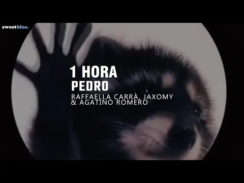 Download MP3 [1 HORA] la canción de pedro | PEDRO - Raffaella Carrà, Jaxomy, Agatino Romero (TikTok Remix)