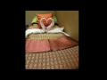 PEARWAA  Thai Spa & Massage
