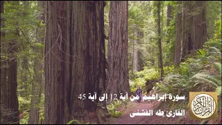 طه الفشني سورة إبراهيم من آية ١٢ إلى آية ٤٥ و م ا ل ن ا أ ل ا ن ت و ك ل ع ل ى الل ه 