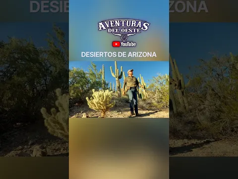 AVENTURAS del OESTE (NATURALEZA SORPRENDENTE)
