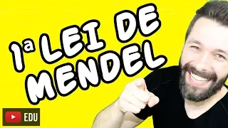 1 LEI DE MENDEL - Genética | Biologia com Samuel Cunha