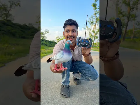 New Birds agaya dekho jaldi 🙌